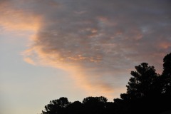 A cool morning at dawn...