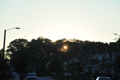 A cool morning at dawn...