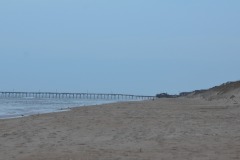 DSC_8175