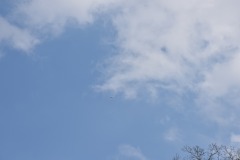DSC_6790 DSC_6790
