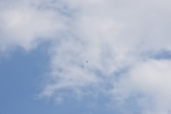 DSC_6792 DSC_6792