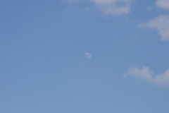 DSC_6793 DSC_6793