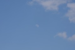 DSC_6794 DSC_6794