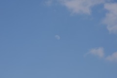 DSC_6795 DSC_6795