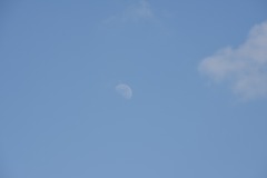 DSC_6796 DSC_6796