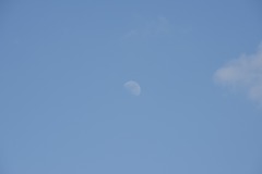 DSC_6797 DSC_6797