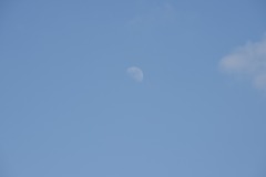 DSC_6798 DSC_6798