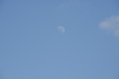 DSC_6799 DSC_6799