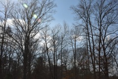 DSC_6801 DSC_6801