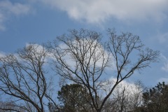 DSC_6802 DSC_6802