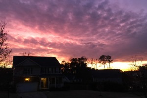 sunfox_20150316_001_sunset