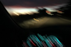 IMG_2445