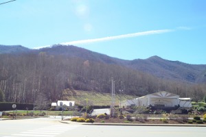 sunfox_20150321_002_Maggie_Valley