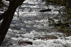 DSC_7764