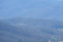 DSC_1181
