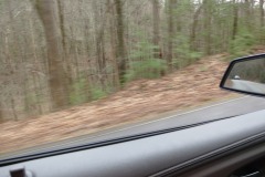 IMG_0132