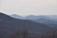 DSC_7954