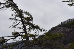 DSC_8014