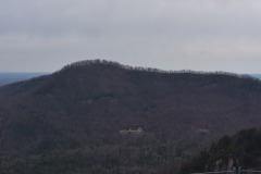 DSC_8018