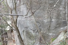 DSC_8054