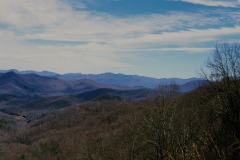 50780016