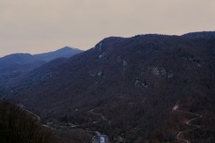50780032