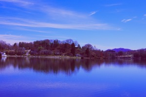sunfox_20150322_004_Velvia_50_look