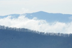 DSC_1183