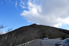 DSC_1195
