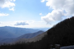 DSC_1204
