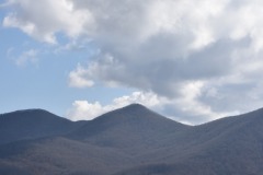 DSC_8128