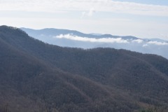DSC_8132