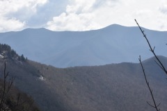 DSC_8146