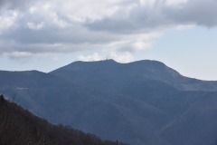 DSC_8176