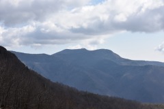 DSC_8183