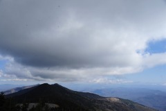 DSC_1235