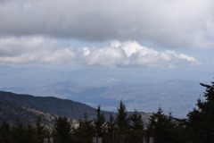 DSC_8196