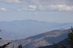 DSC_8224