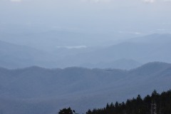 DSC_8229