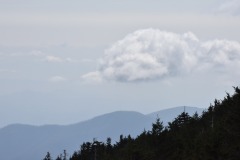 DSC_8237