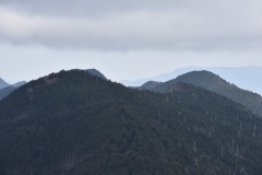 DSC_8245