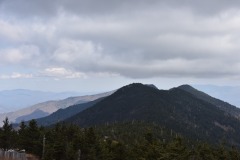 DSC_8253