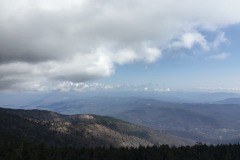 IMG_2661