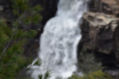 DSC_8337