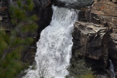 DSC_8339