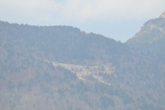 DSC_1673