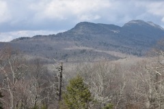 DSC_8379