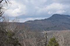 DSC_8383