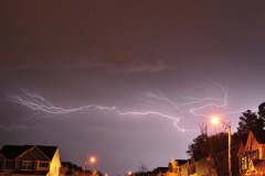 DSC_5195 DSC_5195