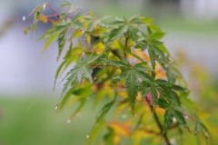 DSC_3891 DSC_3891